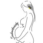 cropped-LOGO_sedmikrasky_012.jpg